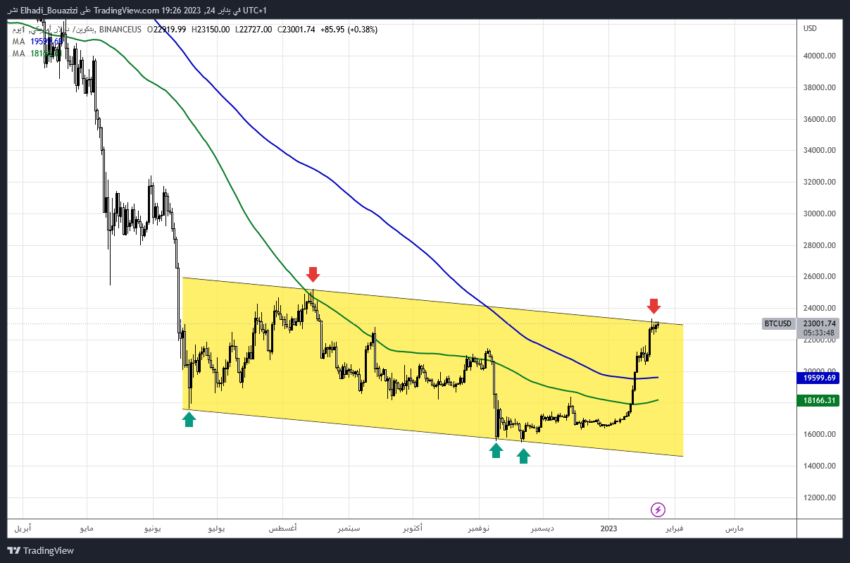 الرسم البياني اليومي لأسعار البيتكوين مقابل الدولار الأمريكي