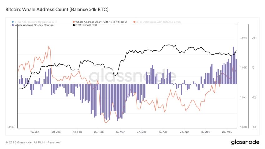 عدد عنوانين محافظ البيتكوين 1000- 10000 BTC