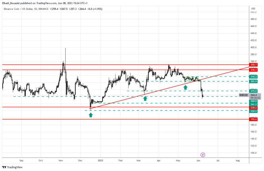 الرسم البياني اليومي لسعر عملة بينانس BNB