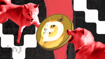 لماذا انخفض سعر دوج كوين رغم ارتفاع المعاملات بنسبة 8.200%؟