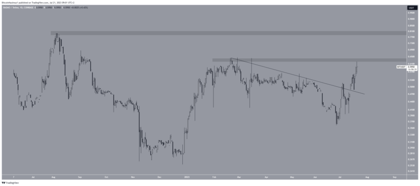 سعر عملة BIT