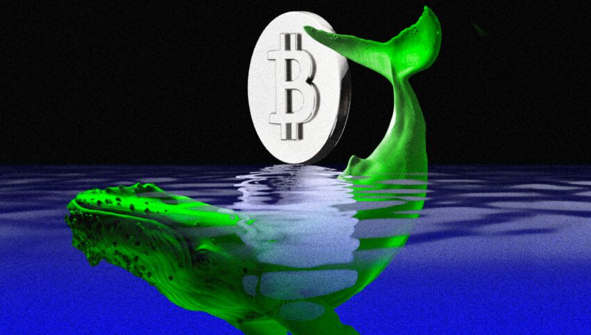 كريبتو تويتر يعتبر أهم سر من أسرار العملات الرقمية