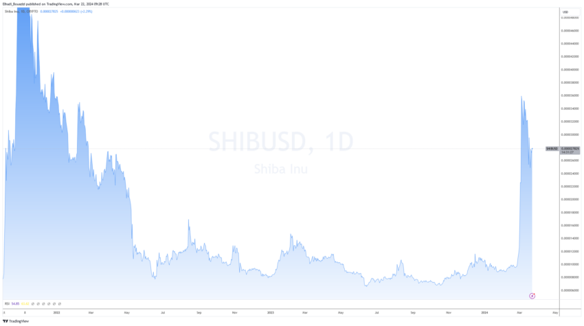 Shiba Inu SHIB Coins Daily Price Chart