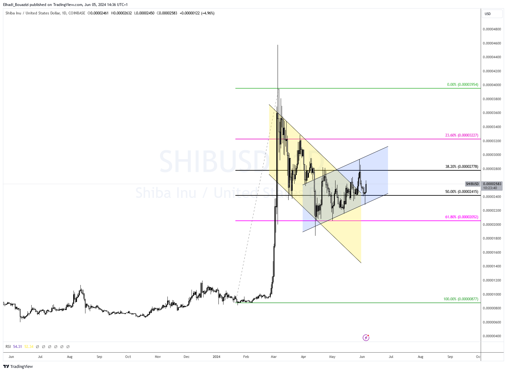 Shiba Inu SHIB Daily Price Chart